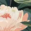 Harukaのプロフィール画像