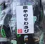ここのプロフィール画像