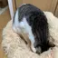 マサキのプロフィール画像