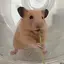 オデ様のプロフィール画像
