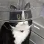 K.のプロフィール画像