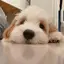 かなのプロフィール画像