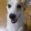 ゆうみのプロフィール画像