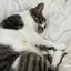 ころものプロフィール画像