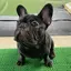 朔のプロフィール画像