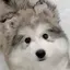 みのプロフィール画像