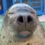 くうのプロフィール画像