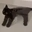 やまもとのプロフィール画像
