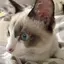 ふにゃのプロフィール画像