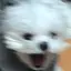 いけのプロフィール画像
