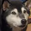 まろんのプロフィール画像