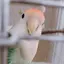 まるのプロフィール画像