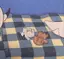 ライスのプロフィール画像