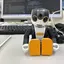 toshiのプロフィール画像