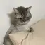 もえのプロフィール画像