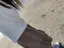 えびのプロフィール画像