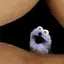 すんすんのプロフィール画像