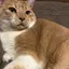 きずなのプロフィール画像