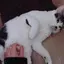楽のプロフィール画像