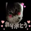 Shinのプロフィール画像