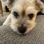 ゆっきーのプロフィール画像