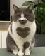 miのプロフィール画像