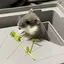 すみたのプロフィール画像