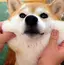 nuのプロフィール画像