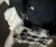ゆのプロフィール画像