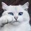 MIOchan.のプロフィール画像