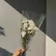 リナのプロフィール画像