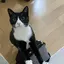 ゆきののプロフィール画像