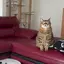 ぱぱぱのプロフィール画像