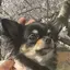 楓のプロフィール画像