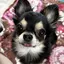 KOのプロフィール画像