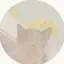 Ruminaのプロフィール画像