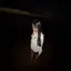 (^_-)-☆のプロフィール画像