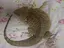 みっきぃのプロフィール画像