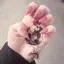りんのプロフィール画像