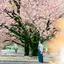 やりのプロフィール画像