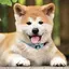 あきたいぬのプロフィール画像