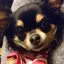 むーのプロフィール画像
