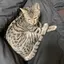 miのプロフィール画像