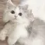 みゆのプロフィール画像