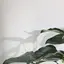Bellのプロフィール画像