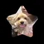 maiのプロフィール画像