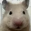 ちのプロフィール画像