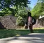 彩華のプロフィール画像