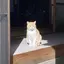 たかちゅんのプロフィール画像