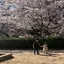 さやのプロフィール画像